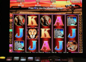 摇钱树捕鱼下载客户端